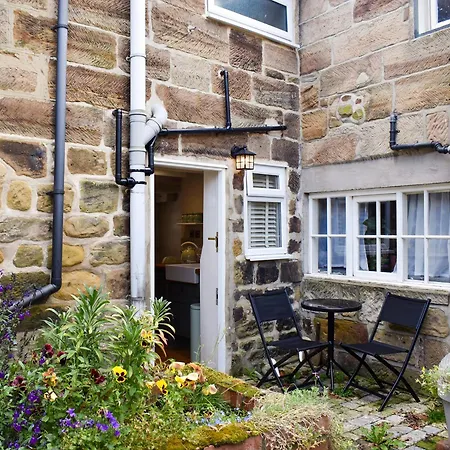 Clovers * Guisborough